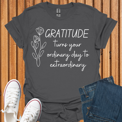 Gratitude - Turn Ordinary to Extraordinary