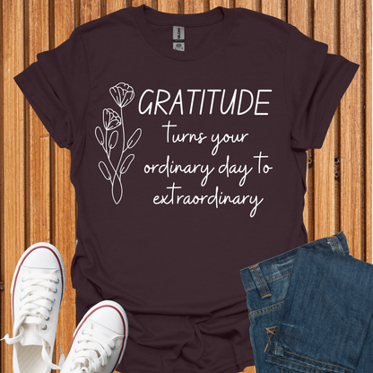Gratitude - Turn Ordinary to Extraordinary