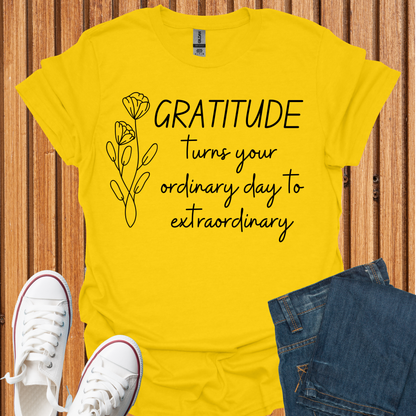 Gratitude - Turn Ordinary to Extraordinary