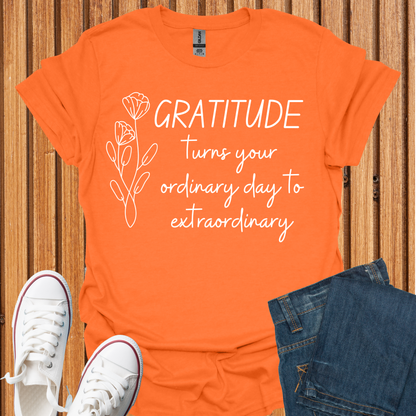 Gratitude - Turn Ordinary to Extraordinary