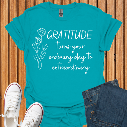 Gratitude - Turn Ordinary to Extraordinary