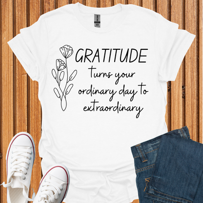 Gratitude - Turn Ordinary to Extraordinary